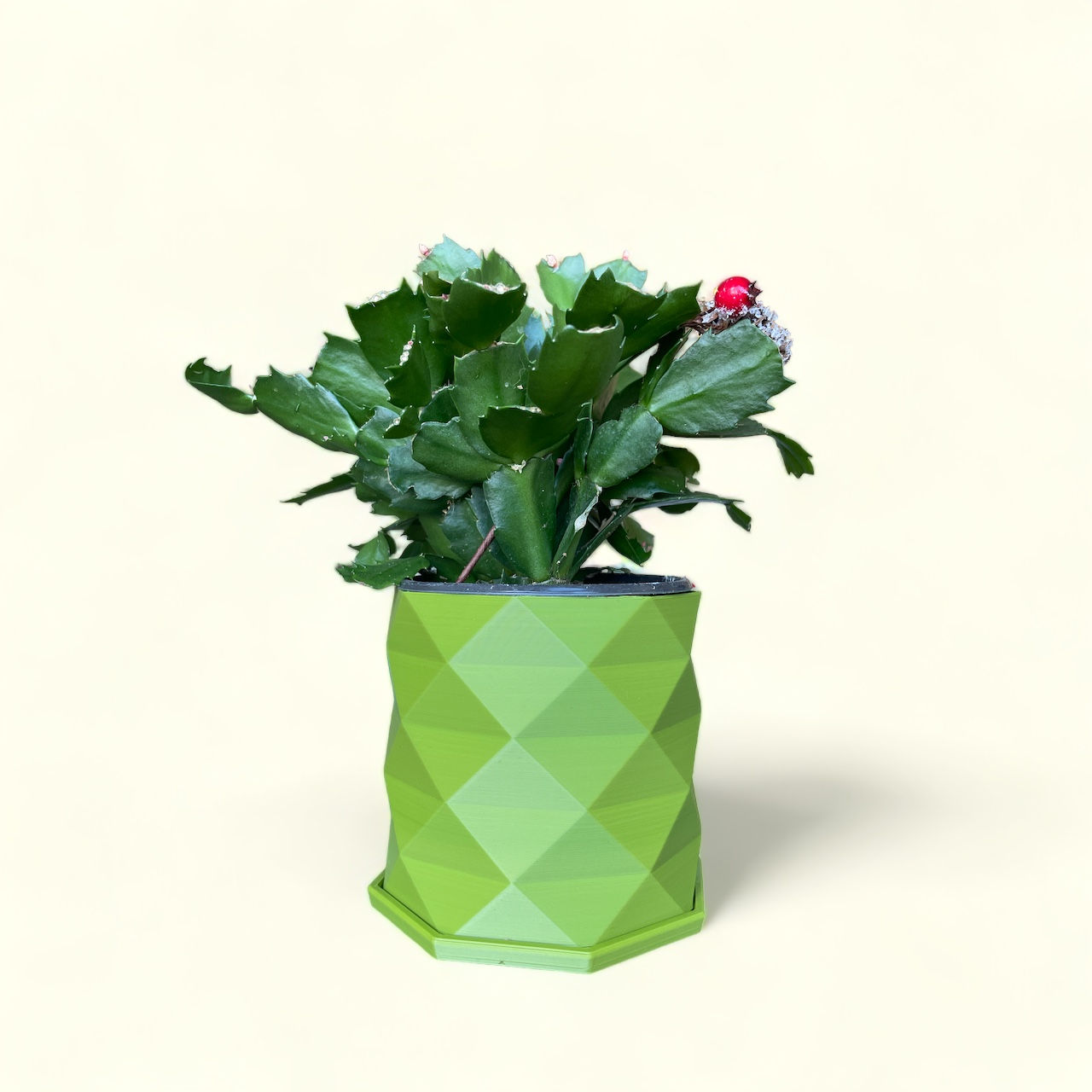 Self Watering Planter - Houston
