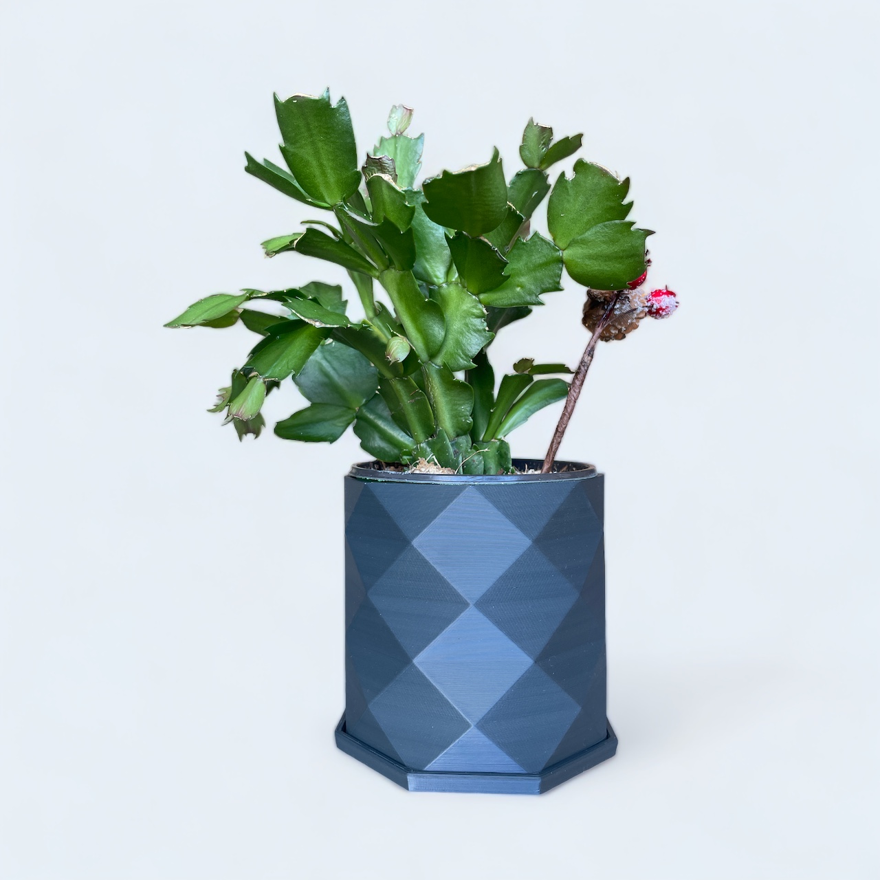 Self Watering Planter - Houston